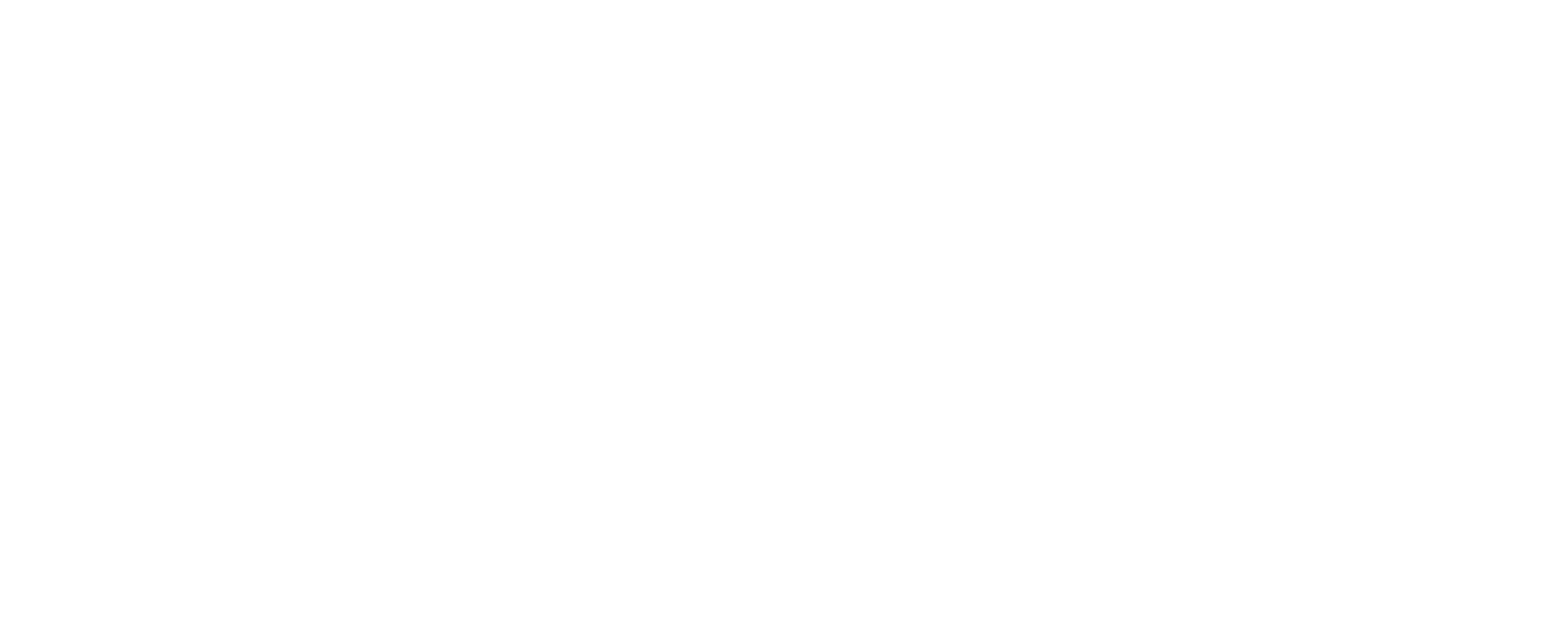 CAPSTONE MANAGEMENT